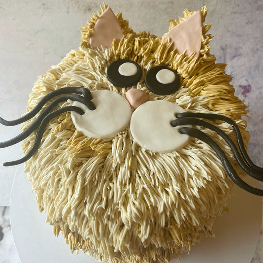Pussy Cat
